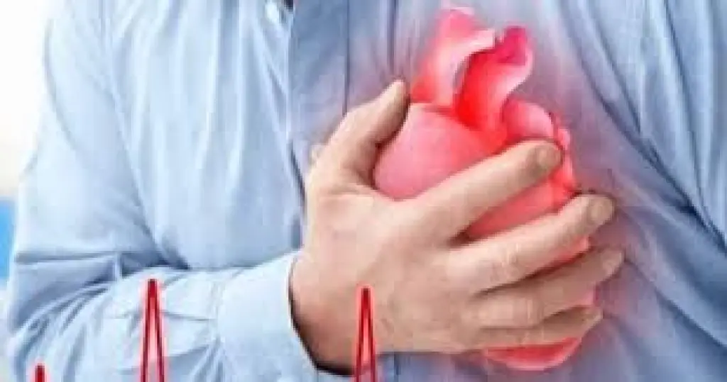 يحافظ على صحة قلبك ويحسن مزاجك.. فوائد تناول هذه الوجبة الخفيفة