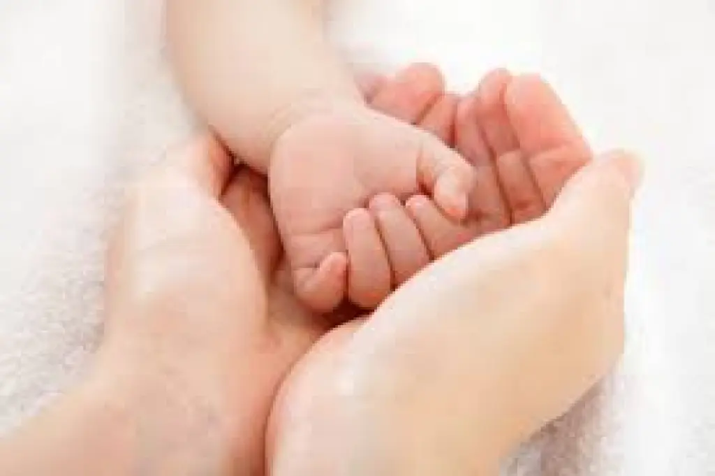 صائب اسلام الحوامدة .... يرى النور
