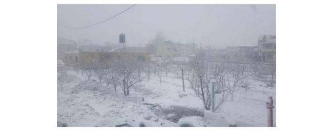 أجواء باردة جدًا وأمطار غزيرة اليوم وغدًا وزخات ثلجية في المرتفعات الجنوبية
