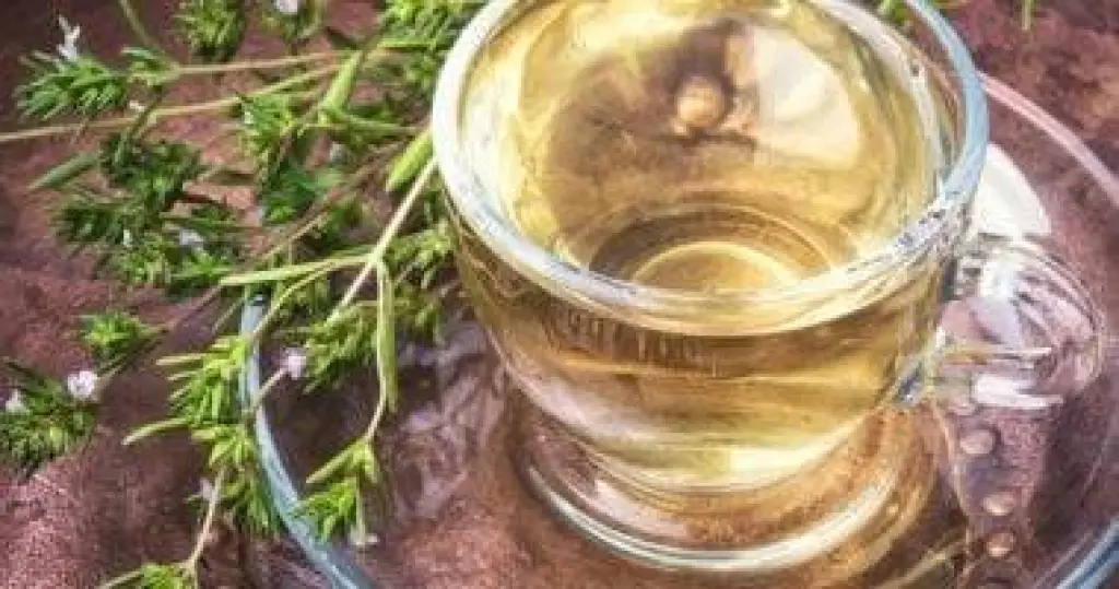 كوب من المناعة.. الينسون الدافئ يحسن دفاعات الجسم ضد الأمراض