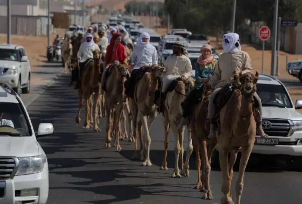 رحلة الهجن تواصل مسيرتها في أطول نسخها التاريخية عبر دروب الحجاج