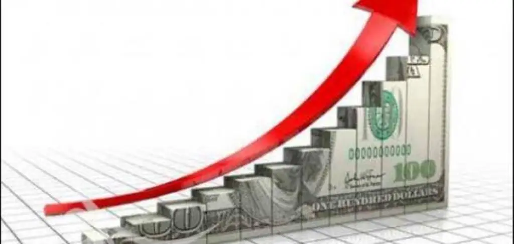 ارتفاع معدل التضخم بنسبة 0.3% لعام 2019