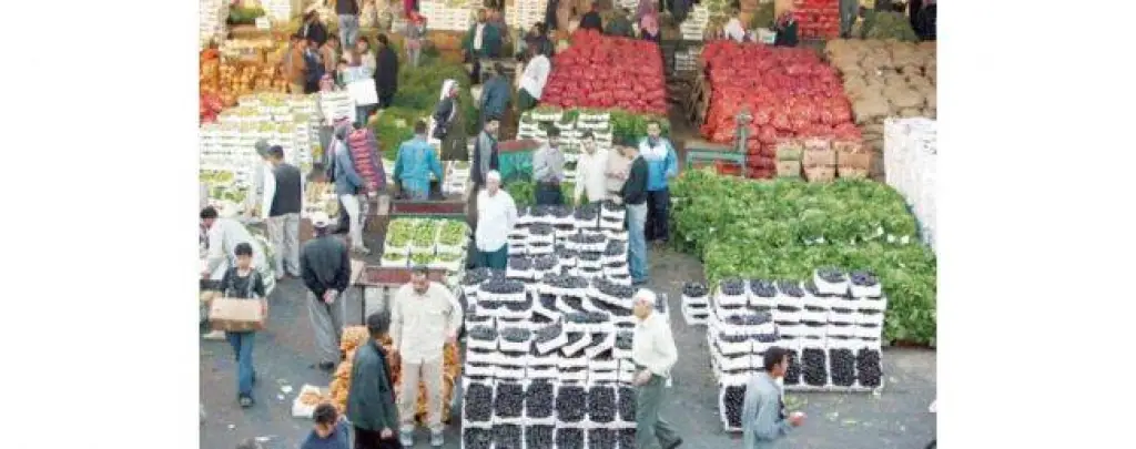 اسعار الخضار والفواكه في السوق المركزي اليوم