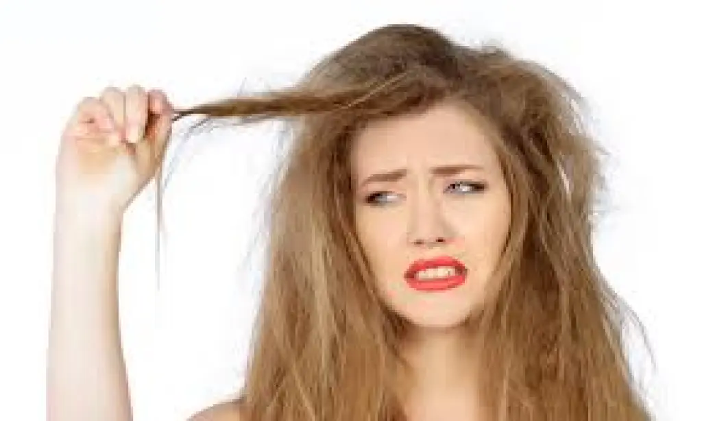 إكليل الجبل الأبرز.. 4زيوت طبيعية تساعد في ترطيب الشعر الجاف
