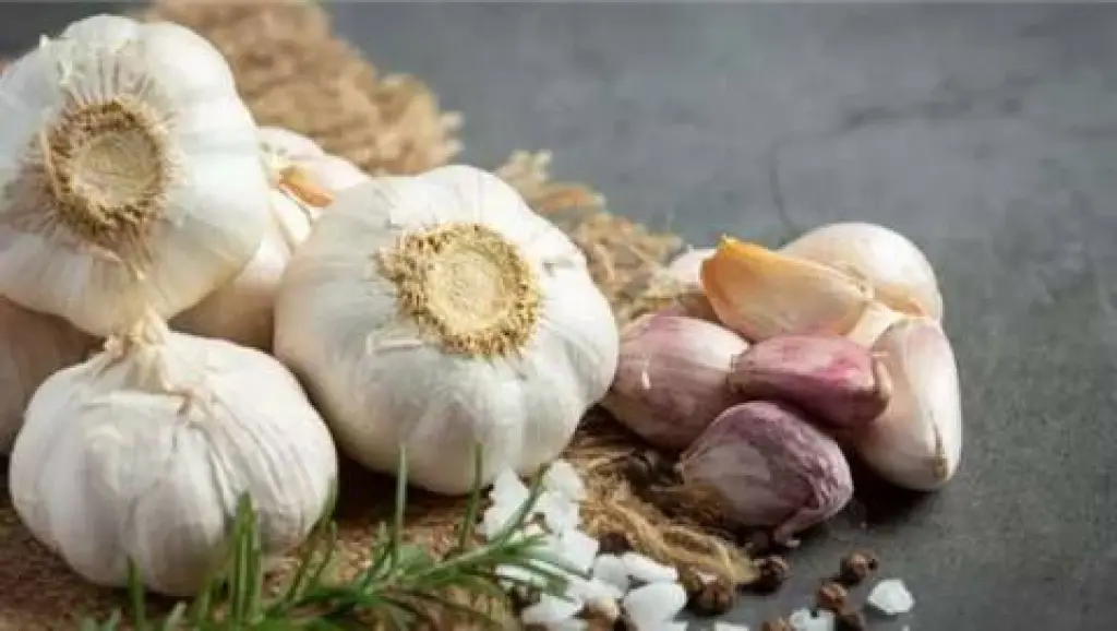 5 فوائد صحية لتناول فص ثوم يوميًا على الريق
