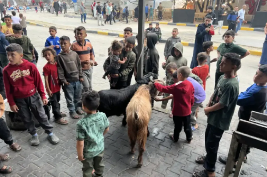 عيد الأضحى في غزة .. طقوس غائبة وواقع أثقلته الحرب