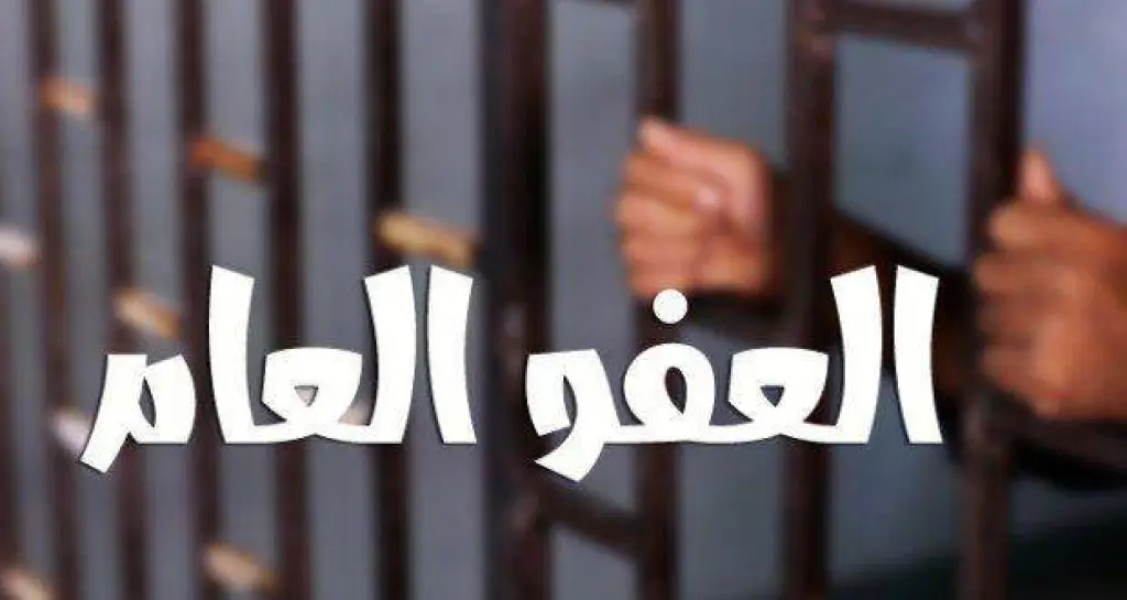 مواطنون من أمام مجلس النواب.. نطالب بإصدار عفو عام .. فيديو
