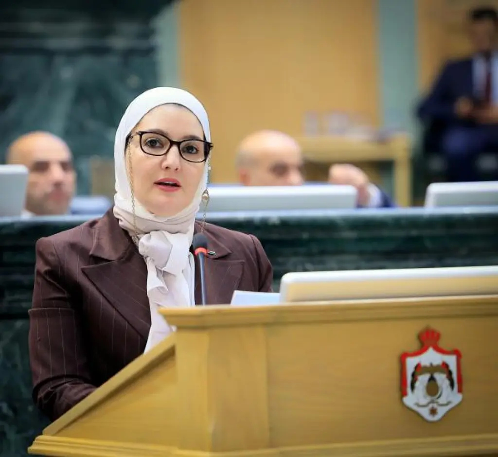 ناصر الدين تطالب بدعم ملفي الدبلوماسية الخارجية والتعليم في الموازنة