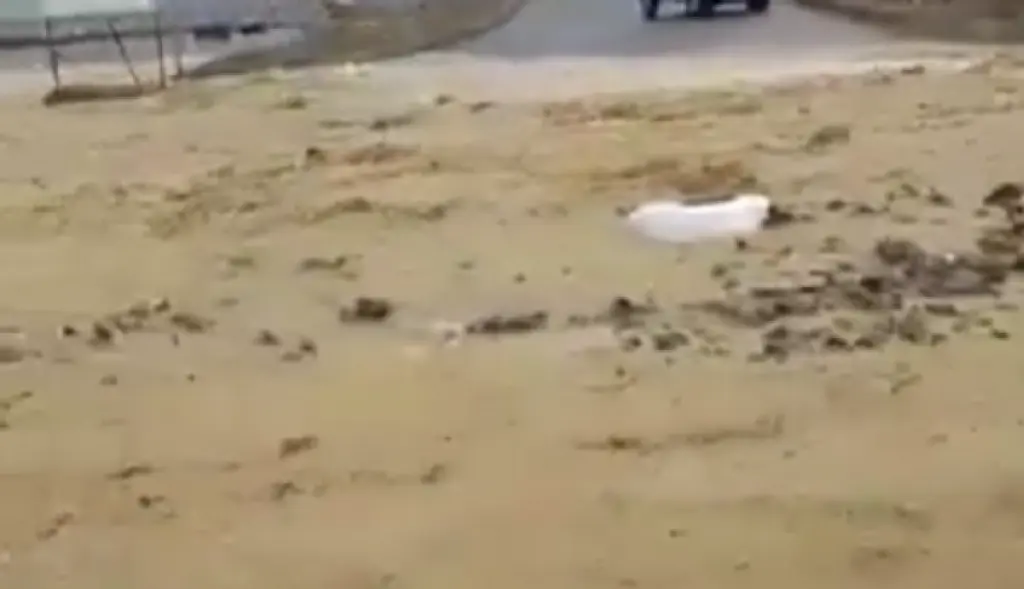 سيول وأمطار غزيرة في القويرة (فيديو)