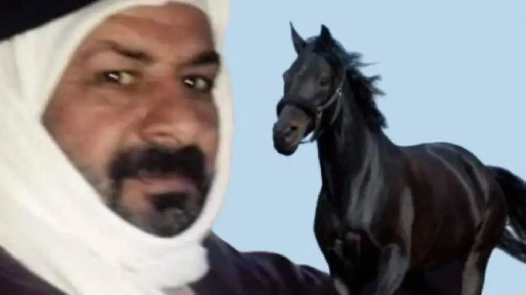 شقيقة نقيب المعلمين الراحل د. احمد الحجايا  أروى علي آلزبون الحجايا تعلن ترشحها للانتخابات النيابيه عن الباديه الجنوبيه مقعد الكوتا