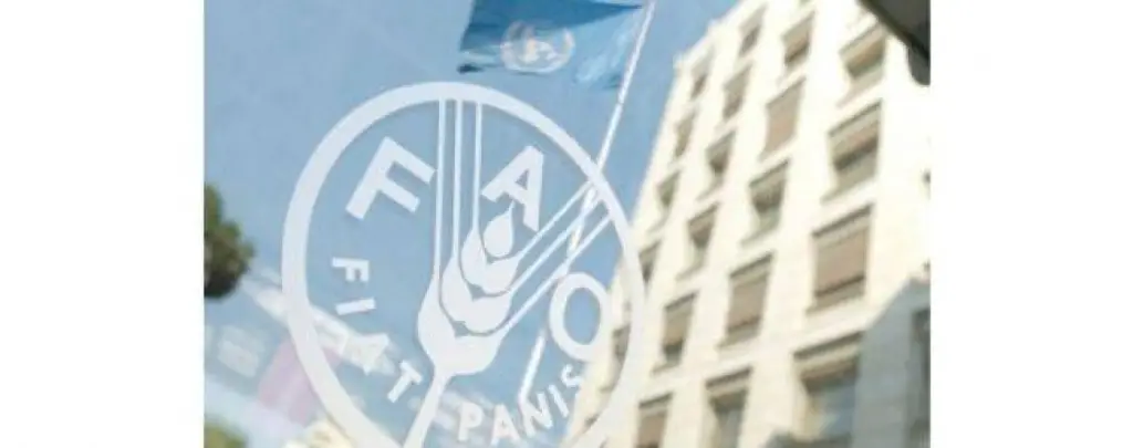 «الفاو» : الإمدادات الغذائية في منطقة الشرق الأدنى وشمال أفريقيا مستقرة رغم انتشار كوفيد- 19