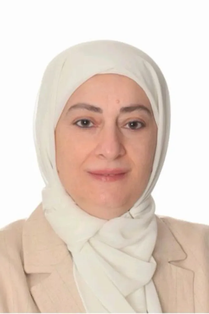 الحوكمة القانونية لمنصات تسوية المنازعات الإلكترونية: هل نحن مستعدون تشريعياً؟